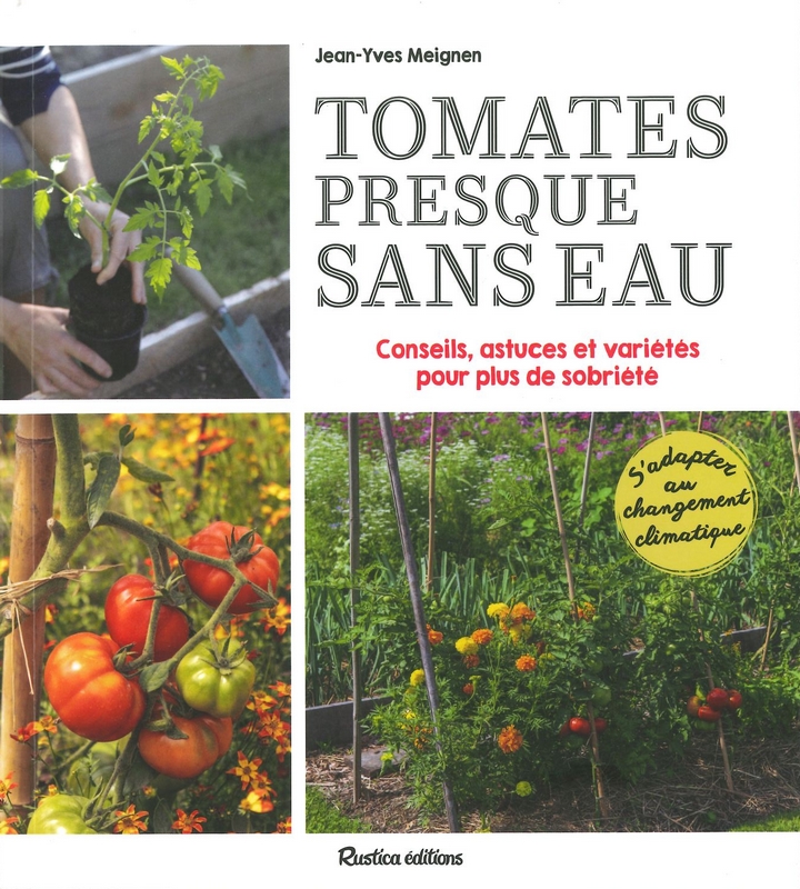 Tomates presque sans eau