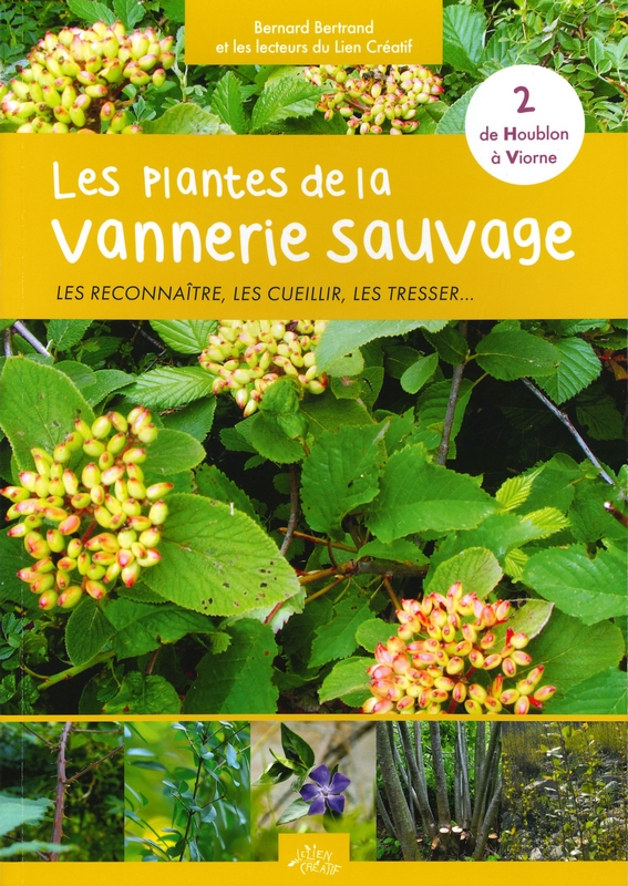 Les plantes de la vannerie sauvage T2