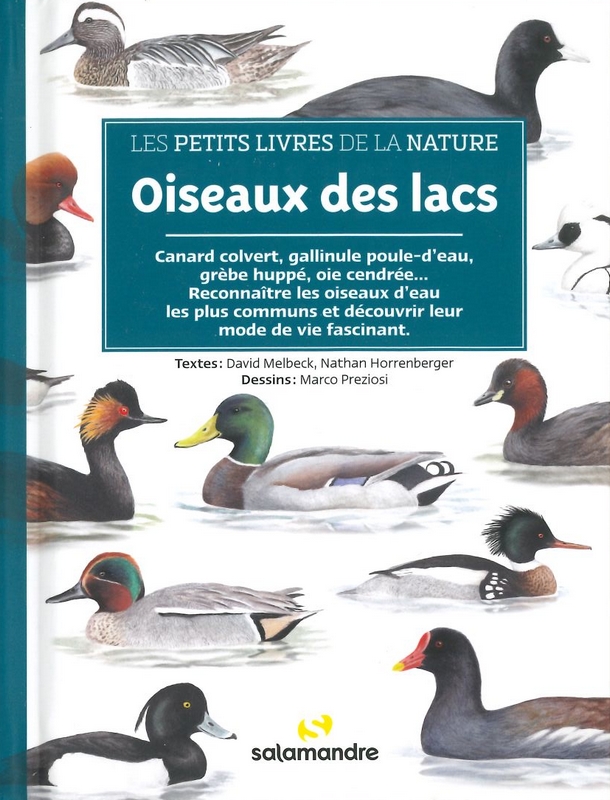 Oiseaux des lacs les petits livres de la nature