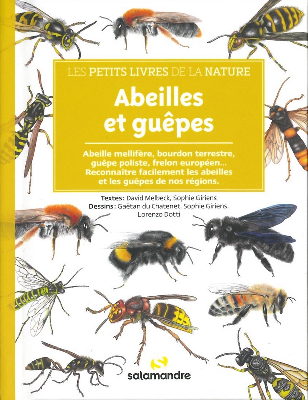 Abeilles et guêpes les petits livres de la nature