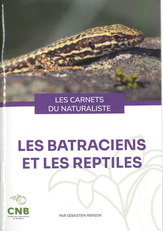 Les batraciens et les reptiles - les carnets du naturaliste