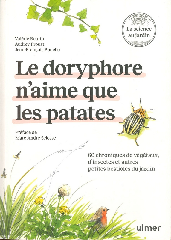 Le doryphore n'aime que les patates
