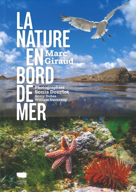 La nature en bord de mer
