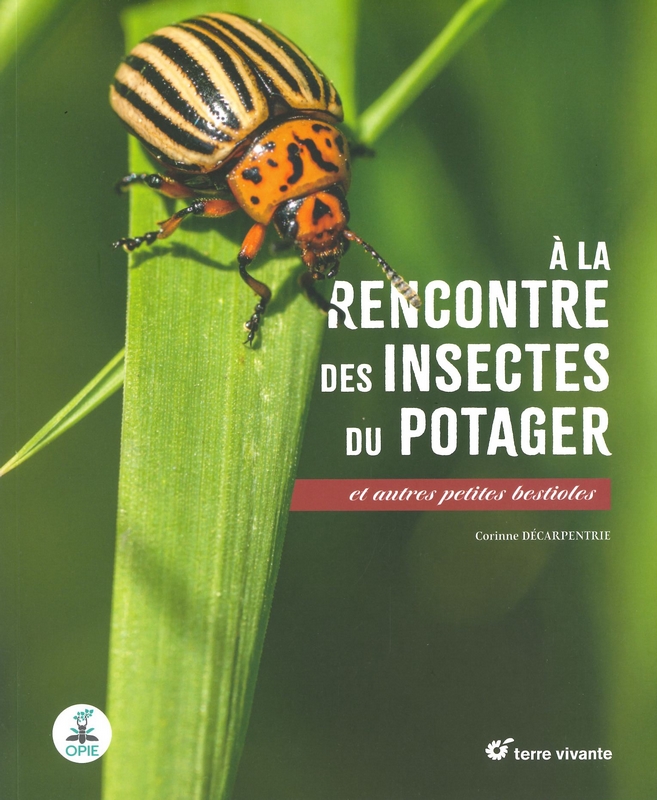 A la rencontre des insectes du potager