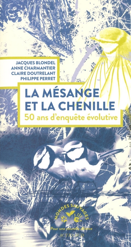 La mésange et la chenille