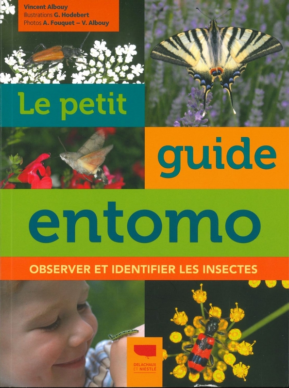 Le petit guide entomo