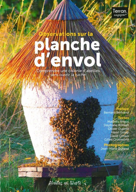 Observations sur la planche d'envol