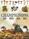 Champignons