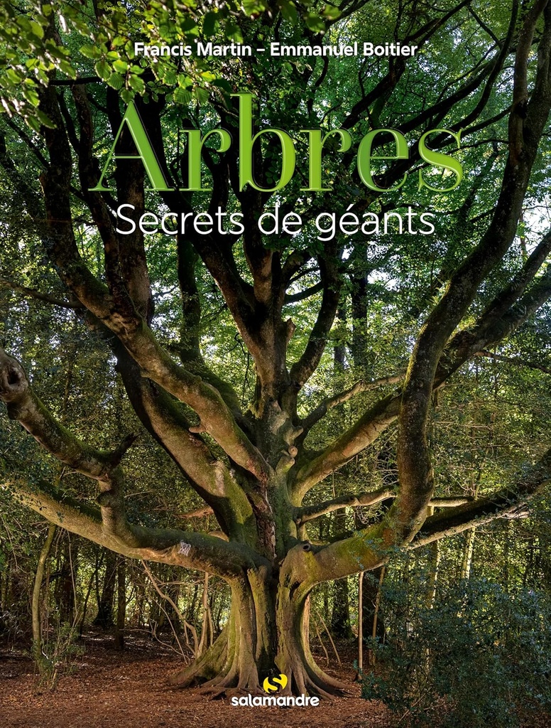 Arbres secrets de géants