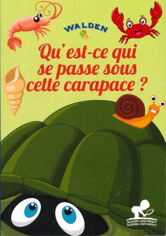 Qu'est-ce qui se passe sous cette carapace?