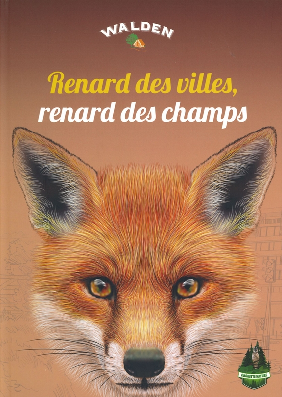 Renard des villes, renard des champs
