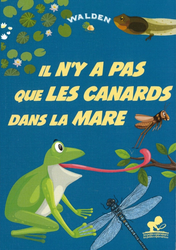 Il n'y a pas que les canards dans la mare