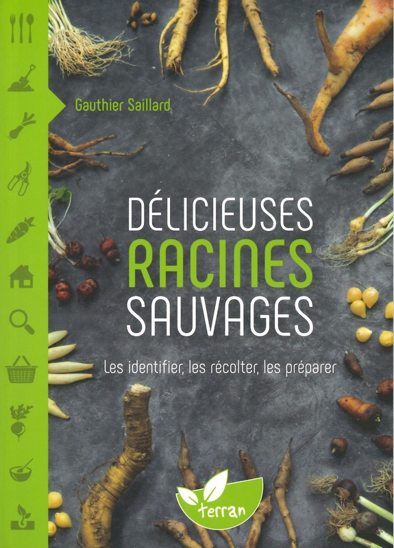 Délicieuses racines sauvages