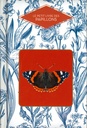 Le petit livre des papillons