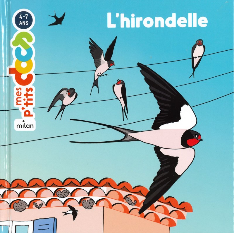 L'hirondelle - mes p'tits docs