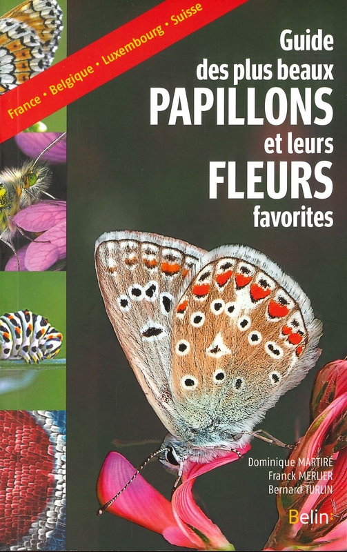 Guide des plus beaux papillons et leurs fleurs favorites