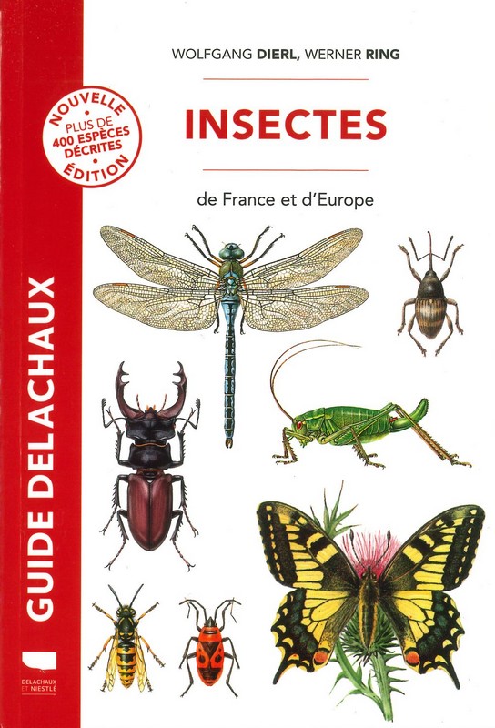 Insectes de France et d'Europe