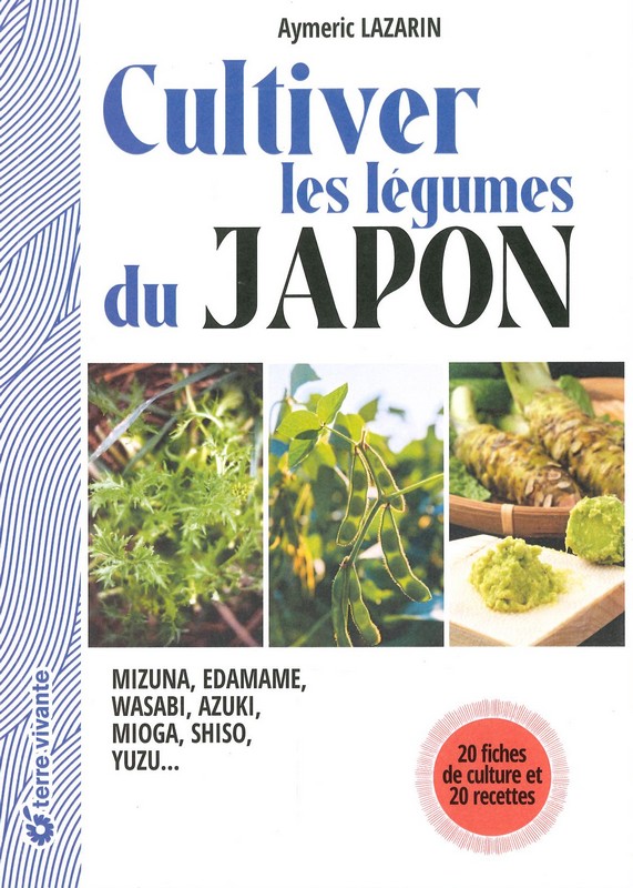 Cultiver les légumes du Japon