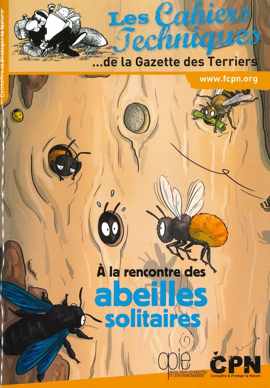 A la rencontre des abeilles solitaires