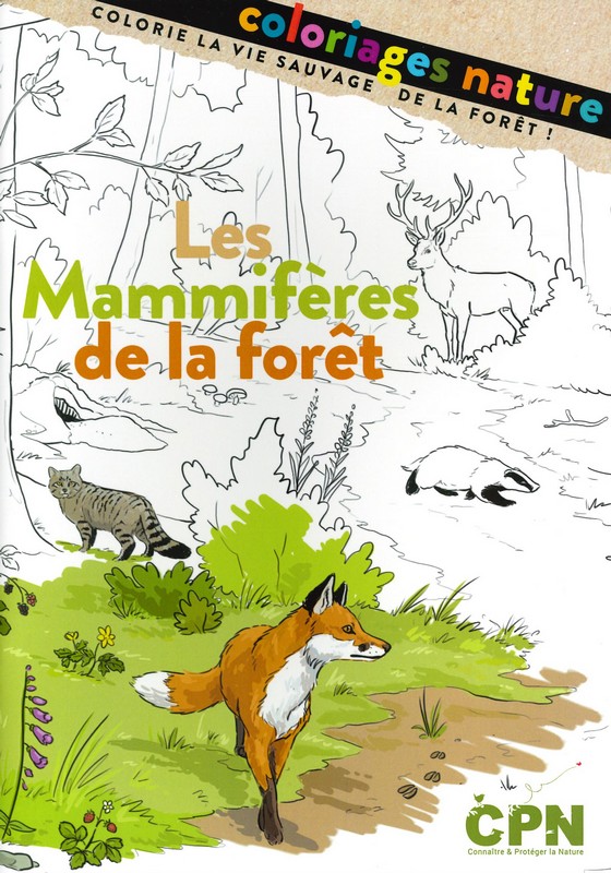 Mammifères de la forêt - coloriages nature