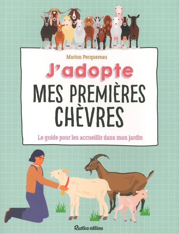 J'adopte mes premières chèvres