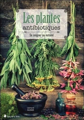 Plantes antibiotiques
