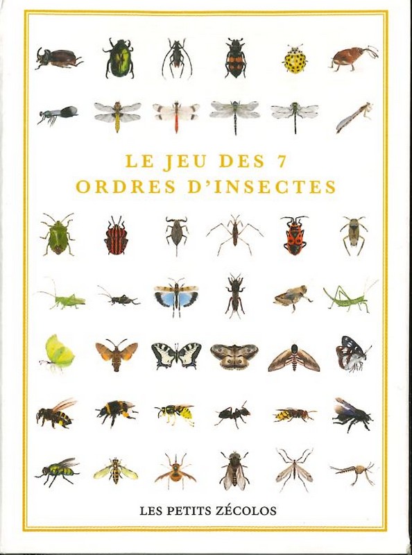 Le jeu des 7 ordres d'insectes