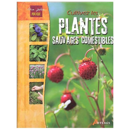 Cultivez les plantes sauvages comestibles