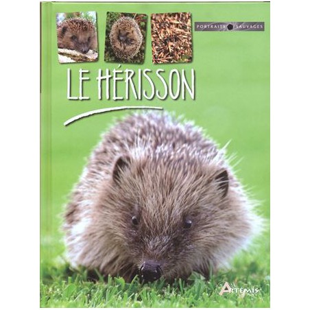 L'hérisson