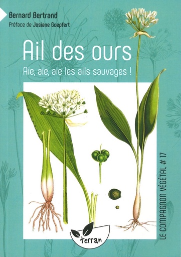 Ail des ours