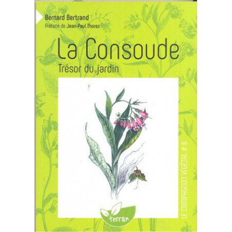 La Consoude trésor du jardin