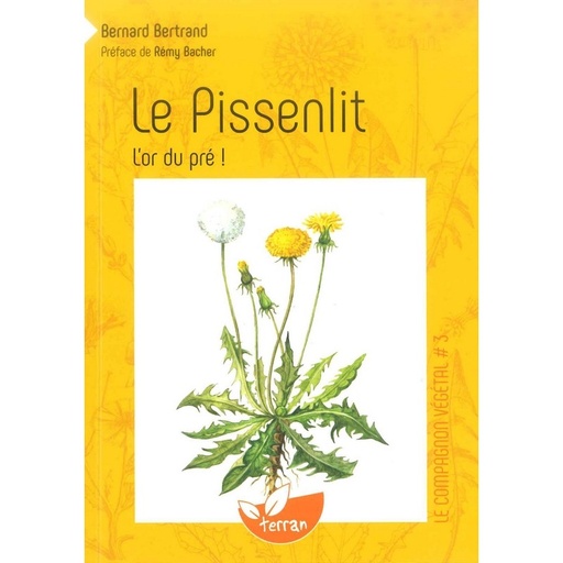 Le Pissenlit, l'Or du Pré !