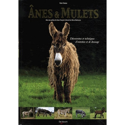 Ânes & mulets