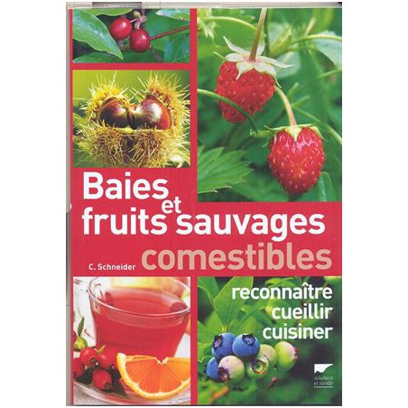 Baies et fruits sauvages comestibles