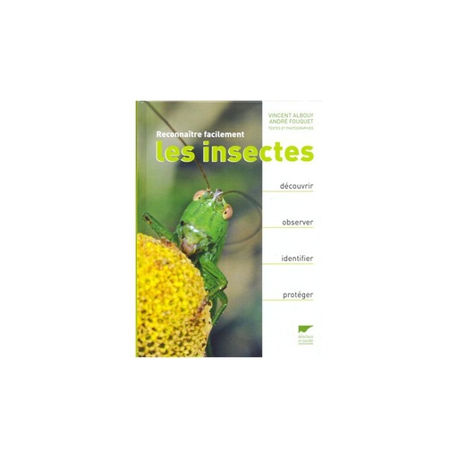 Reconnaître facilement les insectes