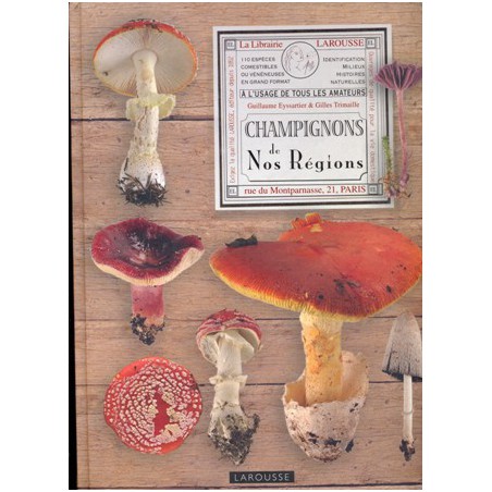 Champignons de nos régions