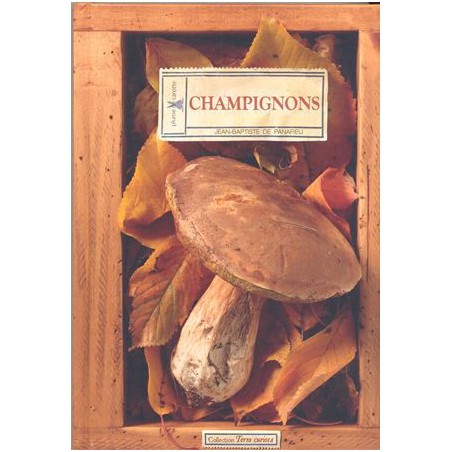 Champignons