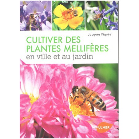 Cultiver des plantes mellifères