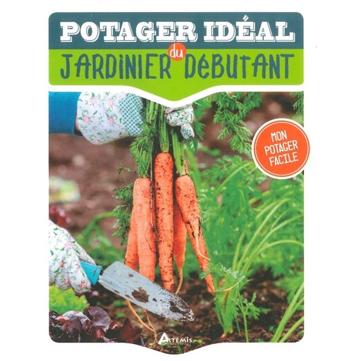 Potager idéal du jardinier débutant