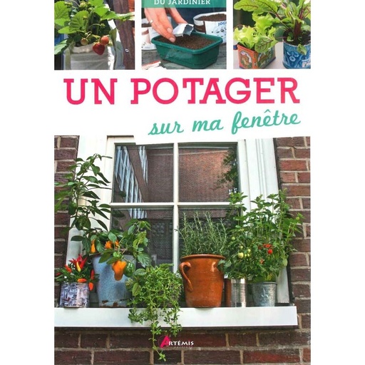 Un potager sur ma fenêtre