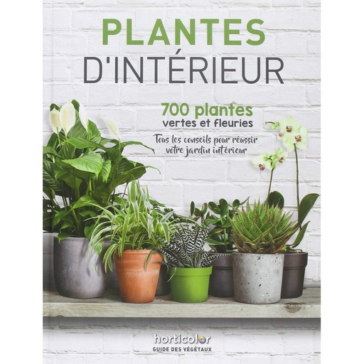 Plantes d’intérieur