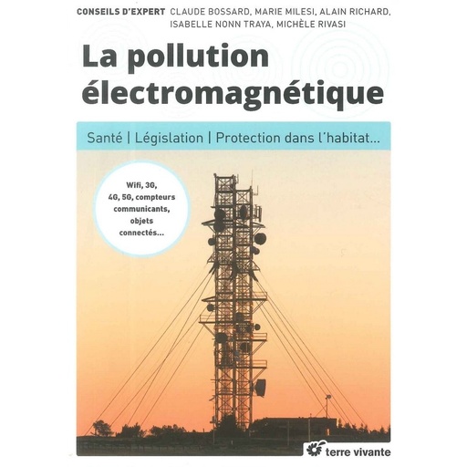 La Pollution électromagnétique