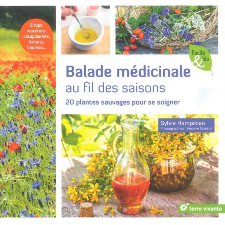 Balade médicinale au fil des saisons