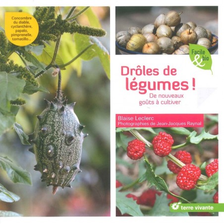 Drôles de légumes!