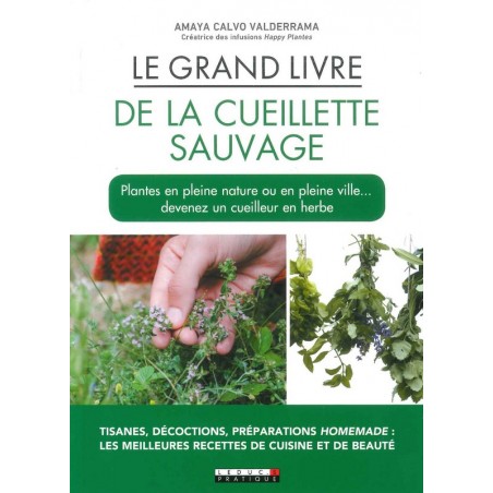 Le Grand livre de la cueillette sauvage