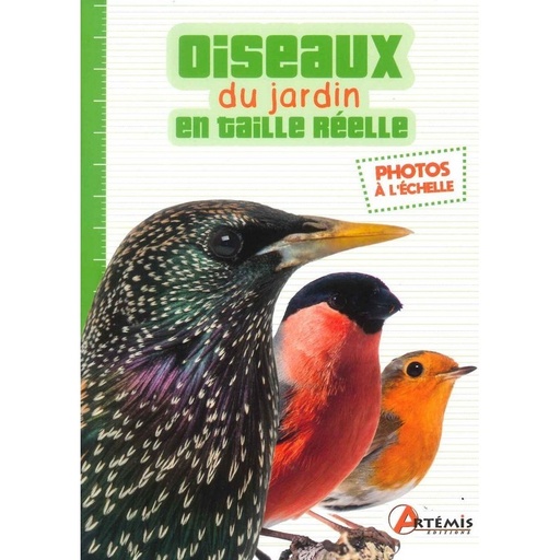 Oiseaux du jardin en taille réelle