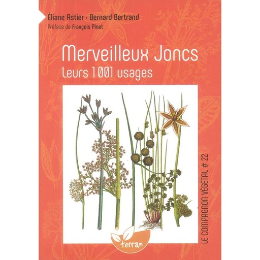 Merveilleux Joncs leurs 1001 usages