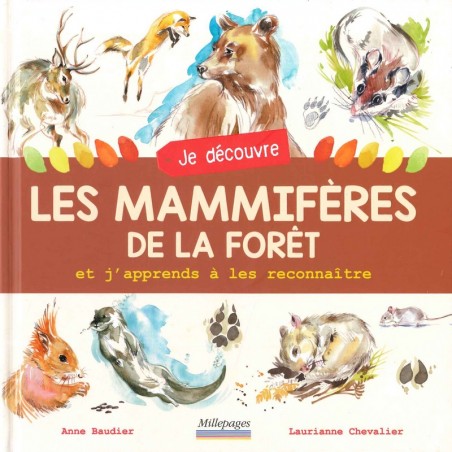 Je découvre les mammifères de la forêt