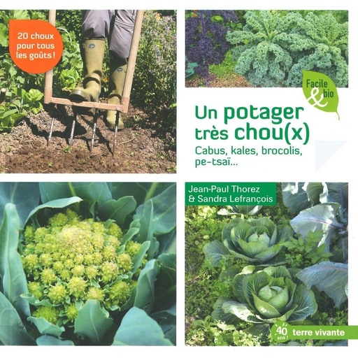 Potager très chou(x) Cabus, kales, brocolis - épuisé