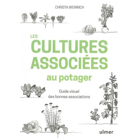 Les Cultures associées au potager